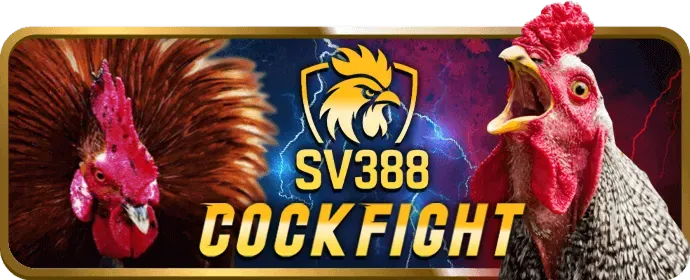 Hướng dẫn bwin